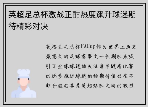 英超足总杯激战正酣热度飙升球迷期待精彩对决